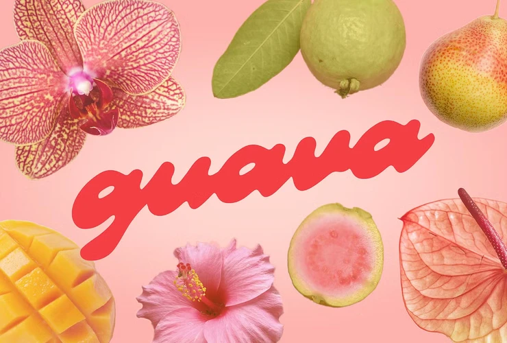 Guava Juicy