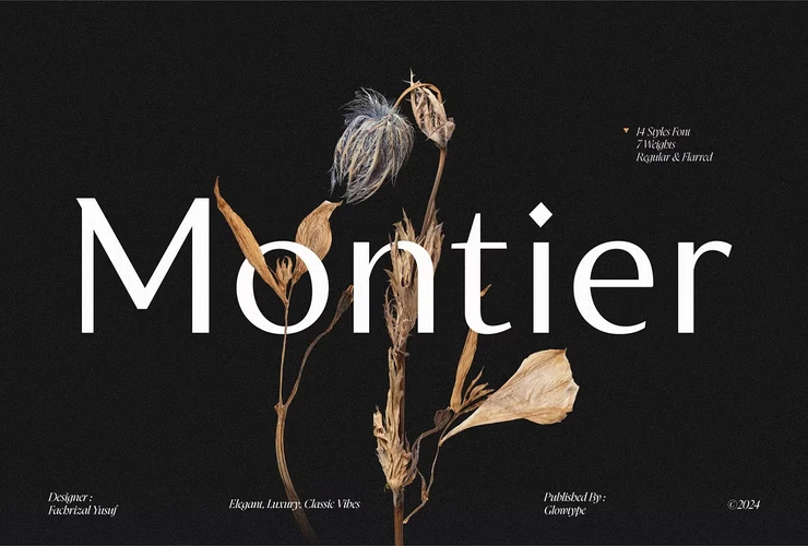 Montier Elegant Display Font
