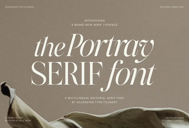 The Portray Font