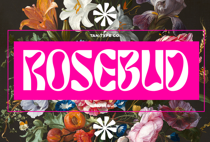 TAN ROSEBUD Font