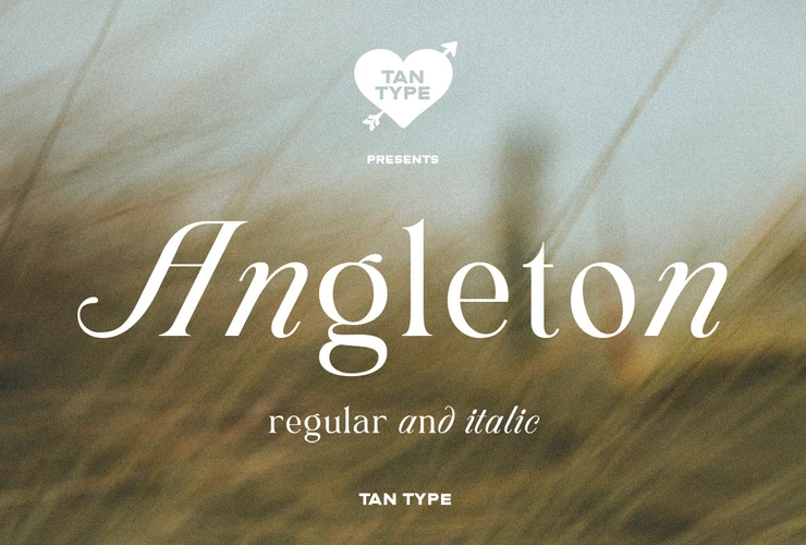 TAN ANGLETON Font