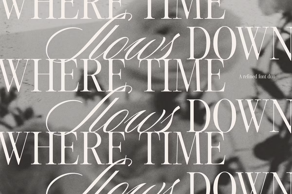 Typography showcasing script font styles and characteristics