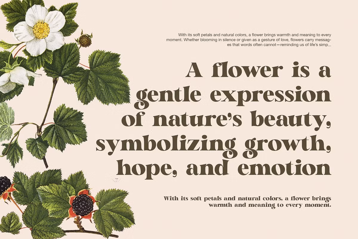 Visual examples of font pairings with Magil