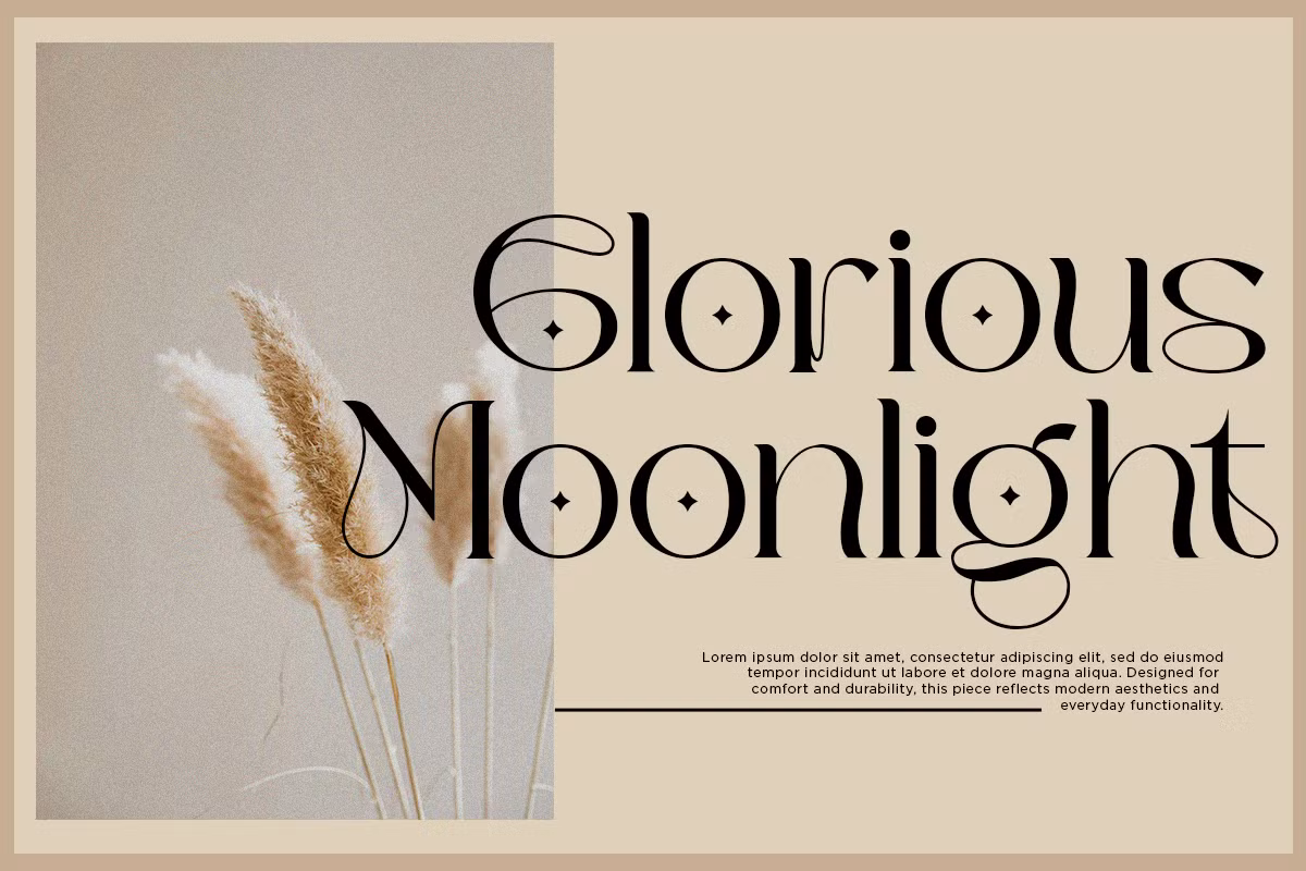 Elegant serif typeface example