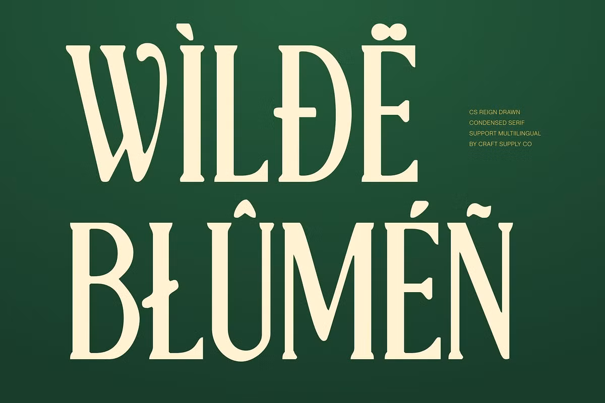 Typography pairings with CS Reign Drawn