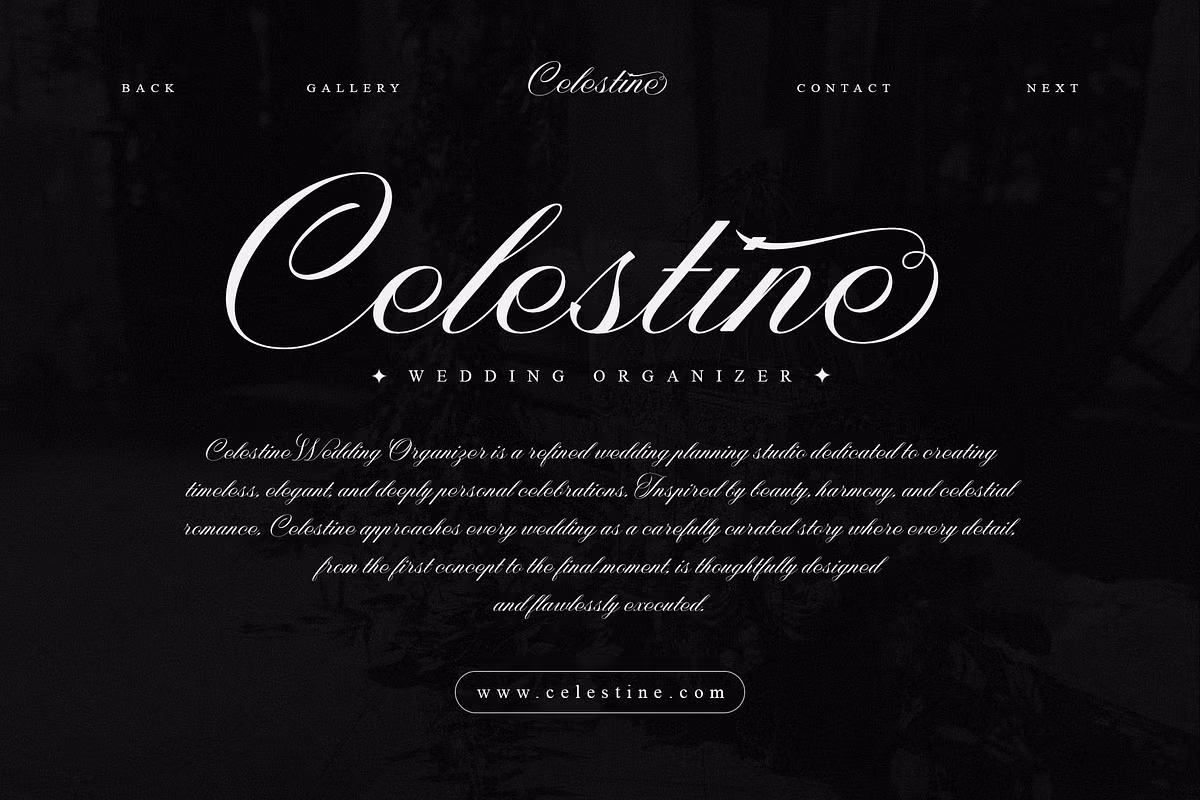 Elegant calligraphy showcasing the Nightshade font