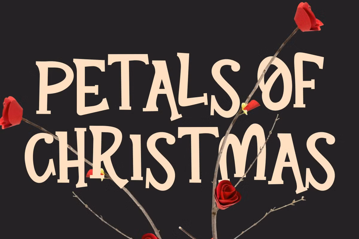 Visual characteristics of Holly Haven Serif Display Font