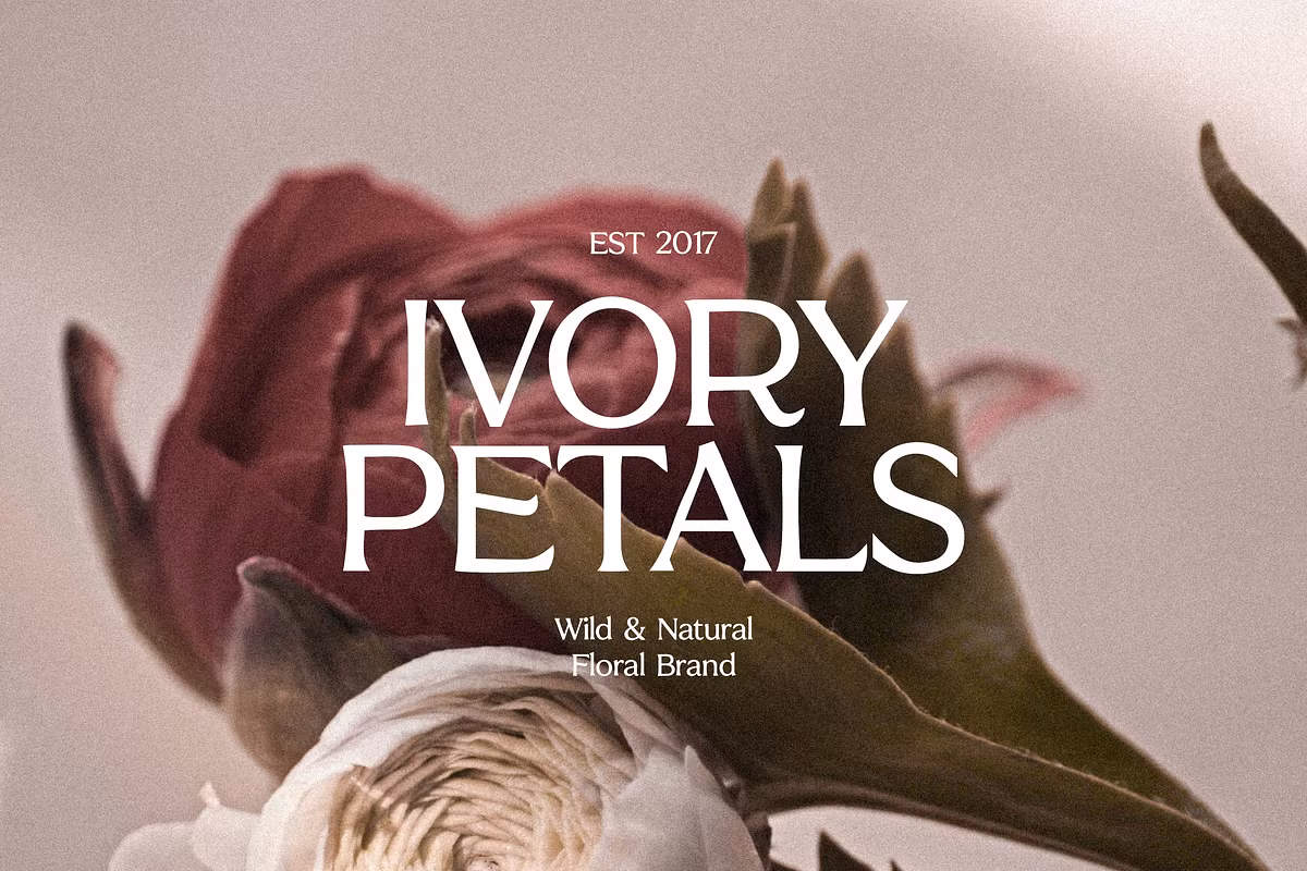 A bold serif typeface showcased in a modern design context