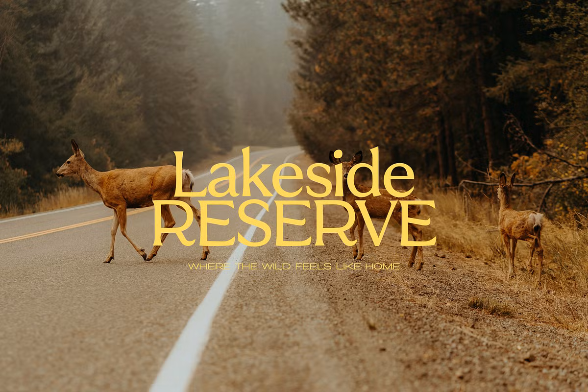 Creative design using the FIGURE font for modern branding