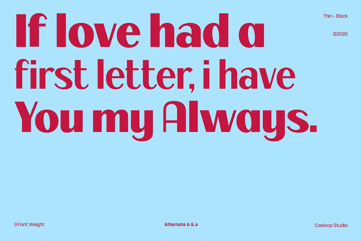 Visual representation of Fagi's elegant design features