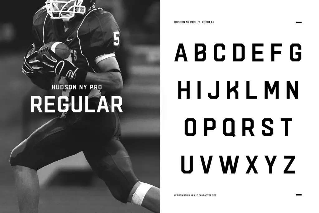 Hudson NY - Pro Edition specimen — Use cases