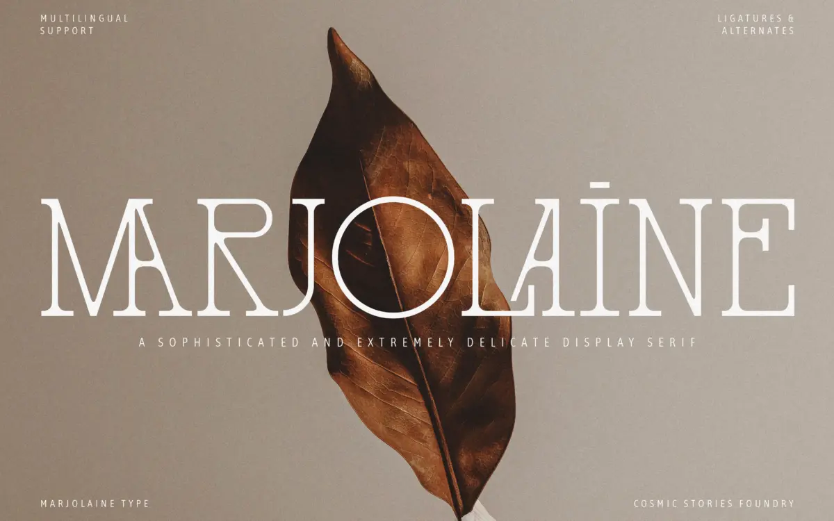 Marjolaine: a typewriter-slab serif for editorial branding with attitude