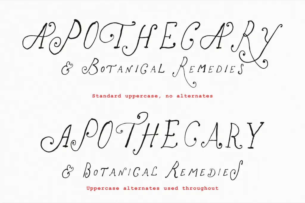 The Rose Atelier specimen — Use cases