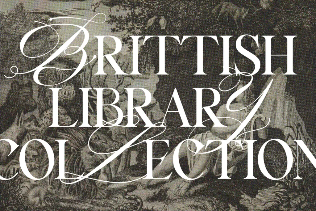 Silver Garden specimen — Design style