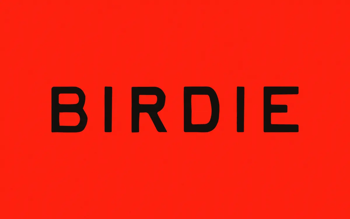 Birdie: a distressed hand-lettered font with real vintage-print grit