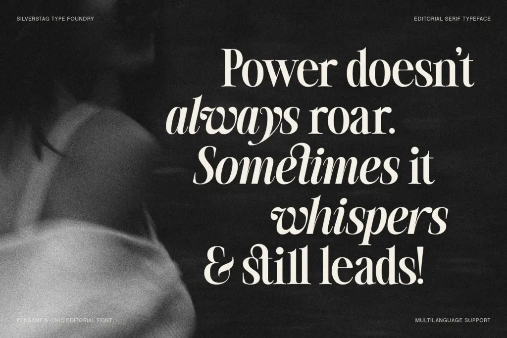 The Silver Editorial specimen — Use cases