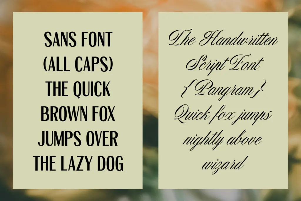 ED Venta Nueva specimen — Character set and features