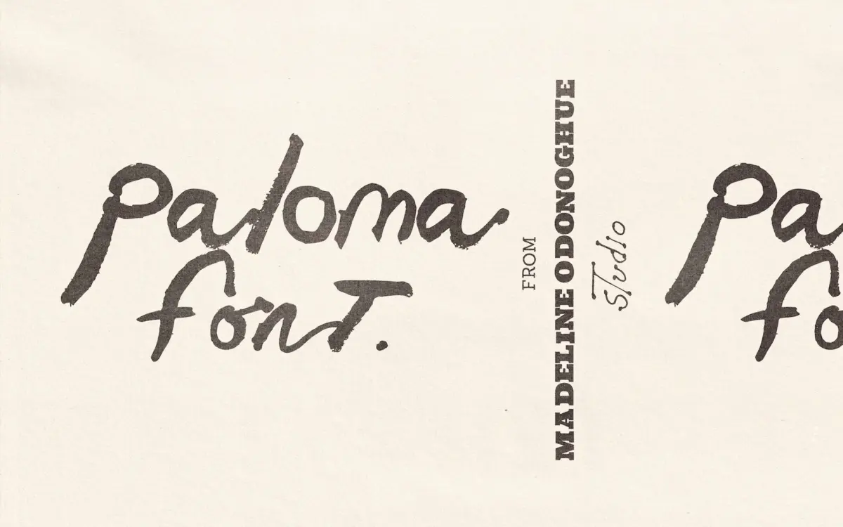 Paloma: a hand-painted brush script for artist-adjacent branding