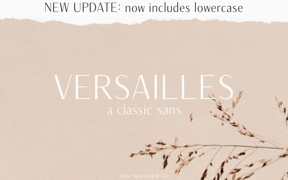 Versailles: A Contrast Sans for Logos and Web Headings