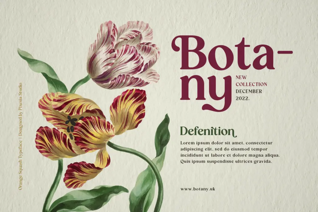 Orange Squash specimen — Character set and features