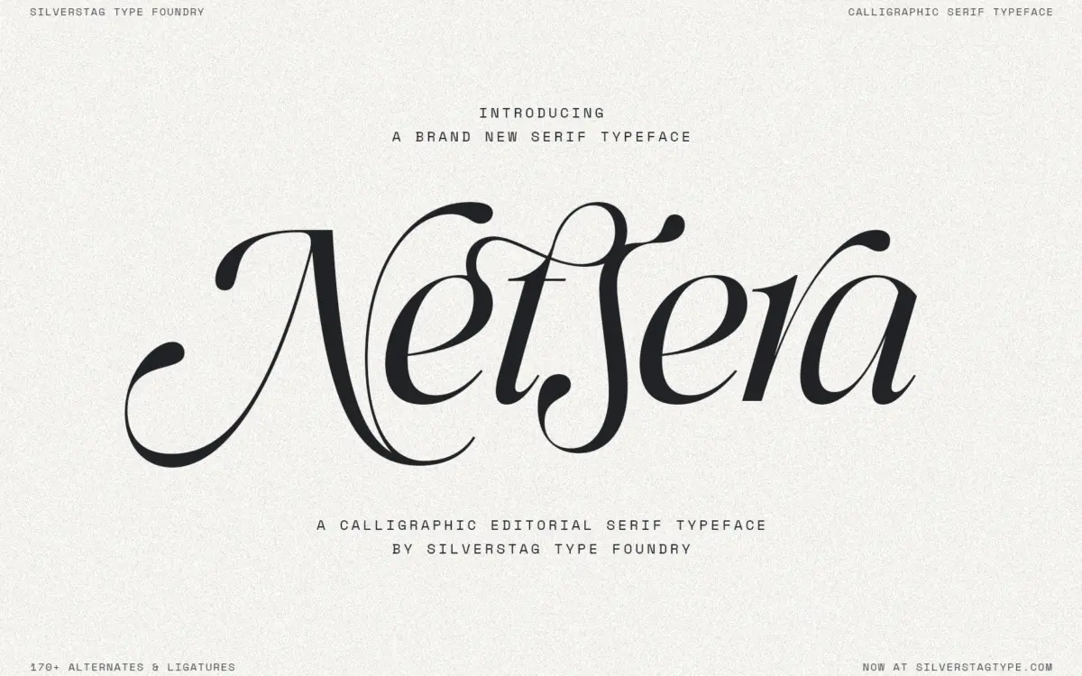 Netsera: a calligraphic serif for editorial and fashion branding