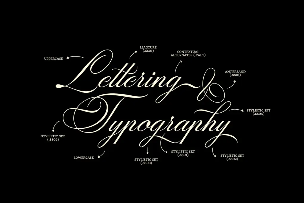 ED Drayton specimen — Character set and features