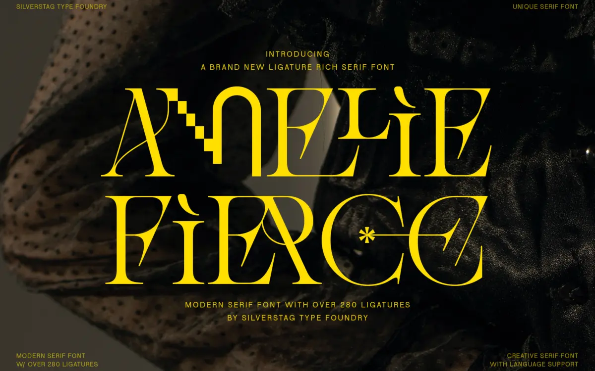 Amelie Fierce: a high-contrast display serif with pixelated attitude