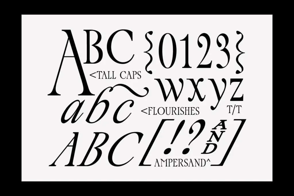 Palace Serif Typeface specimen — Use cases