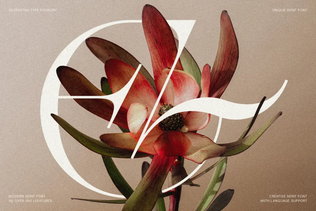 Amelie Fierce specimen — Design style
