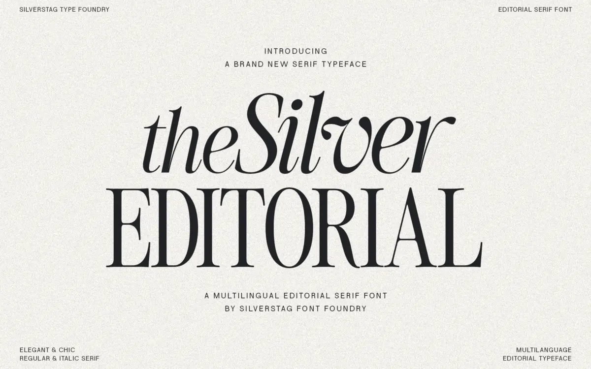 The Silver Editorial Serif: an 80s-flavoured display serif for headlines