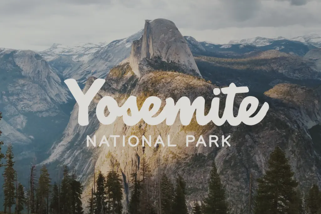 National Forest specimen — Design style