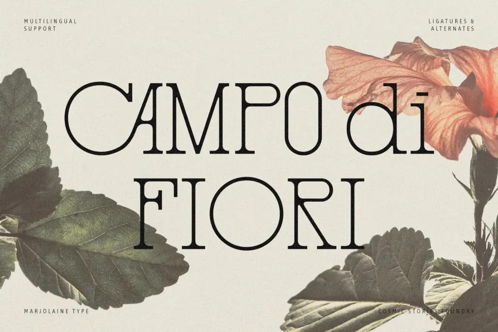 Marjolaine specimen — Use cases