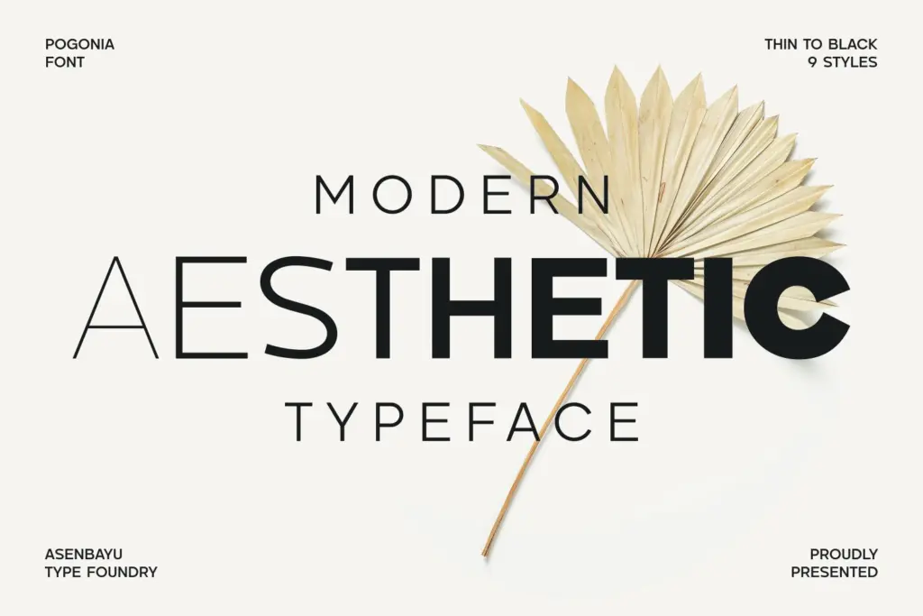 Pogonia specimen — Character set and features
