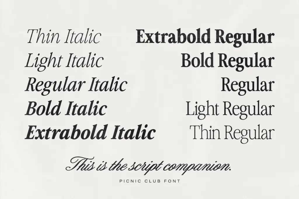 The Picnic Club specimen — Design style