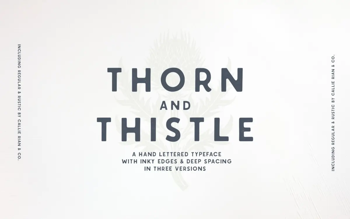 Thorn & Thistle Sans: a hand-drawn sans with three finishes for rustic branding